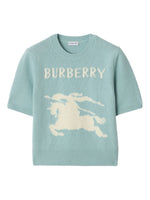Burberry T-shirts and Polos Clear Blue